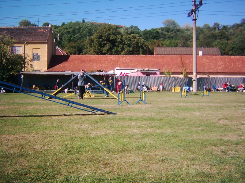 DSCI0003.JPG