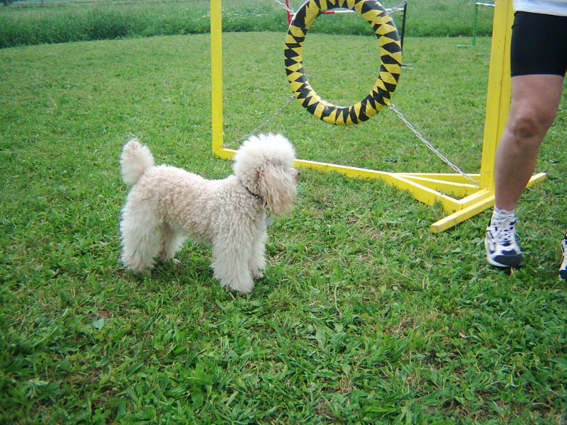 Snímek3.7  2005 047.jpg