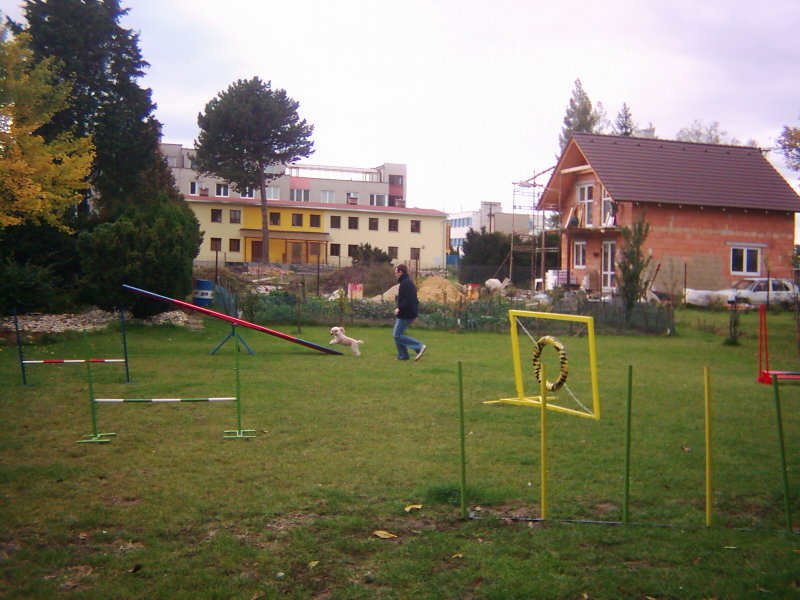 DSCI0041.JPG