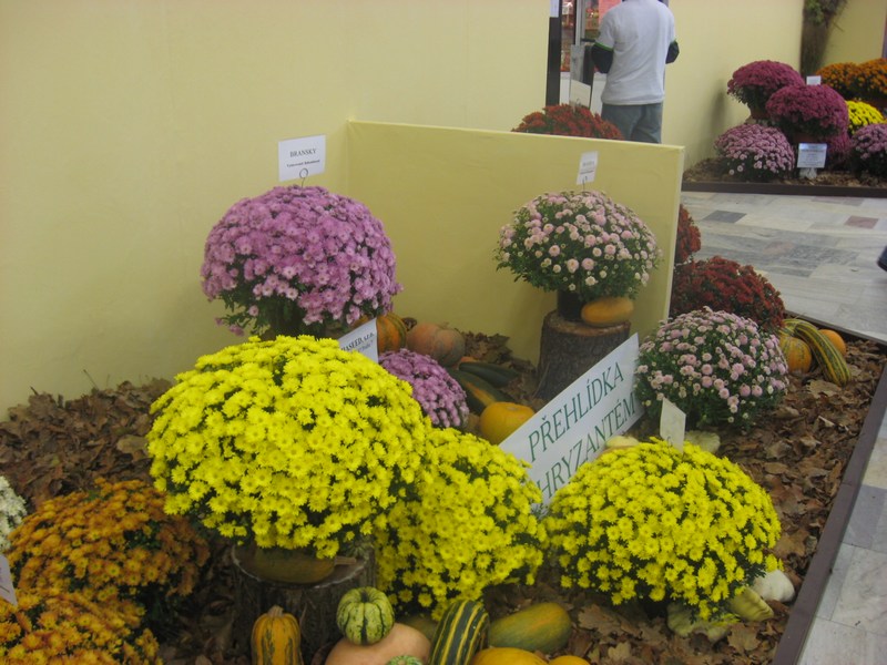 IMG_1880.JPG