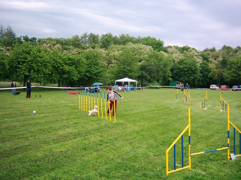 DSCI0044.JPG
