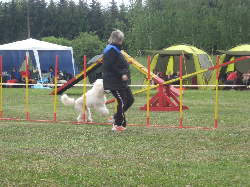 IMG_0442 (Kopírovat).jpg