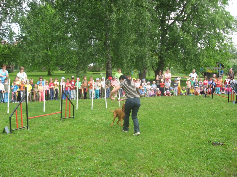 IMG_0828.jpg