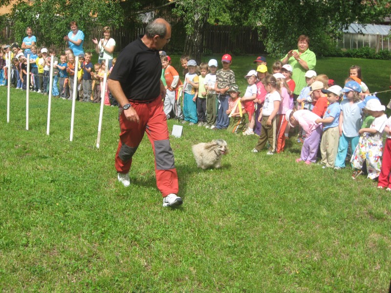 IMG_0877.jpg