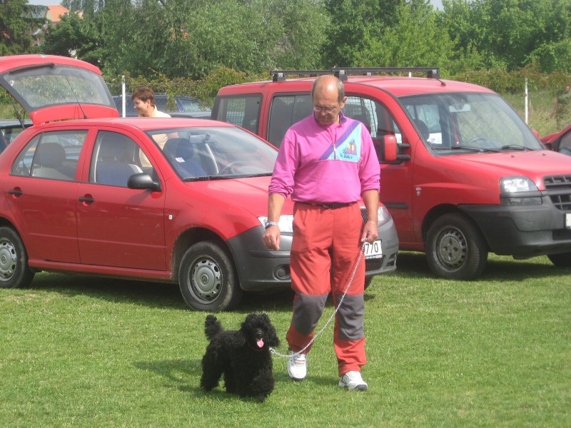 IMG_1093.jpg