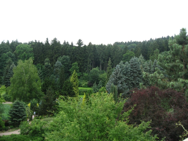 IMG_1427.jpg