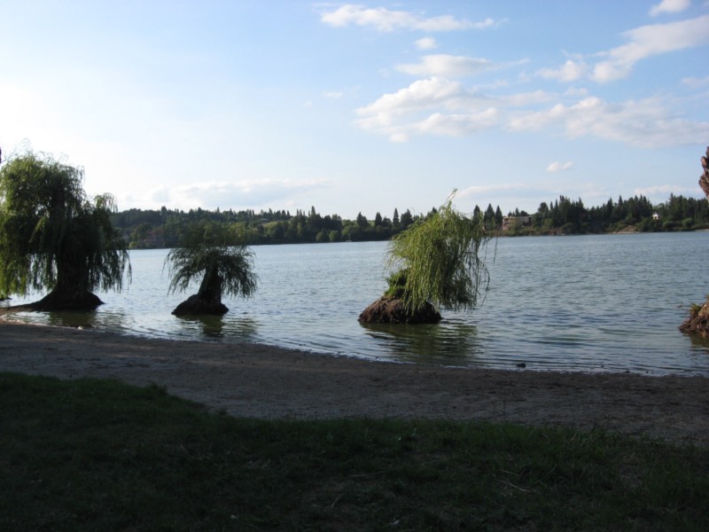 IMG_2045.jpg