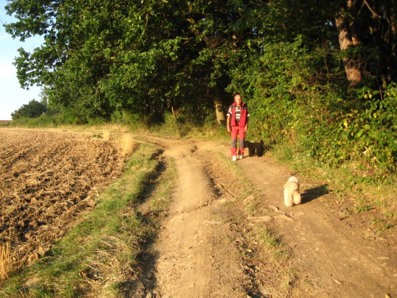 IMG_2084.jpg