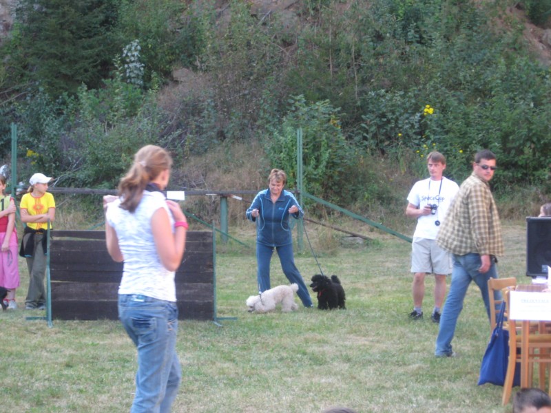 IMG_2393.jpg