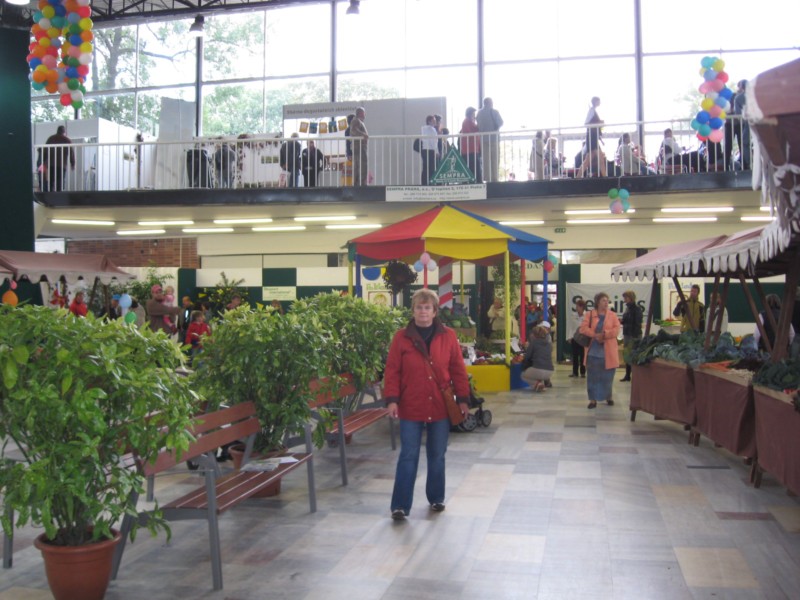 IMG_2575.jpg