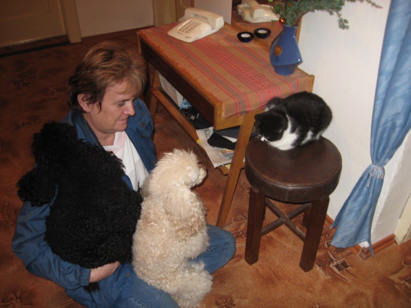 IMG_2963.jpg