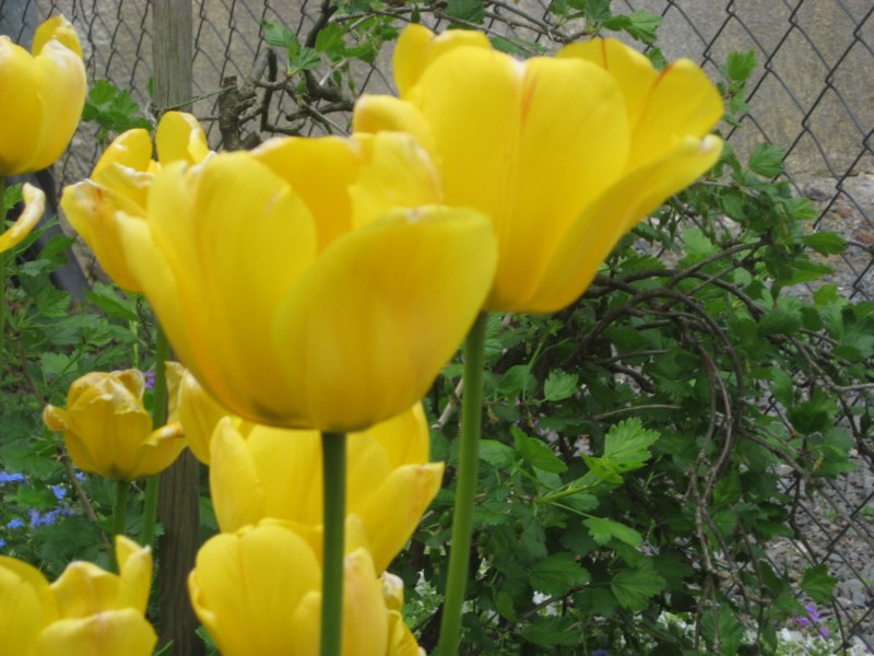 IMG_4692.jpg