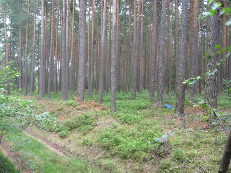 IMG_6183.jpg