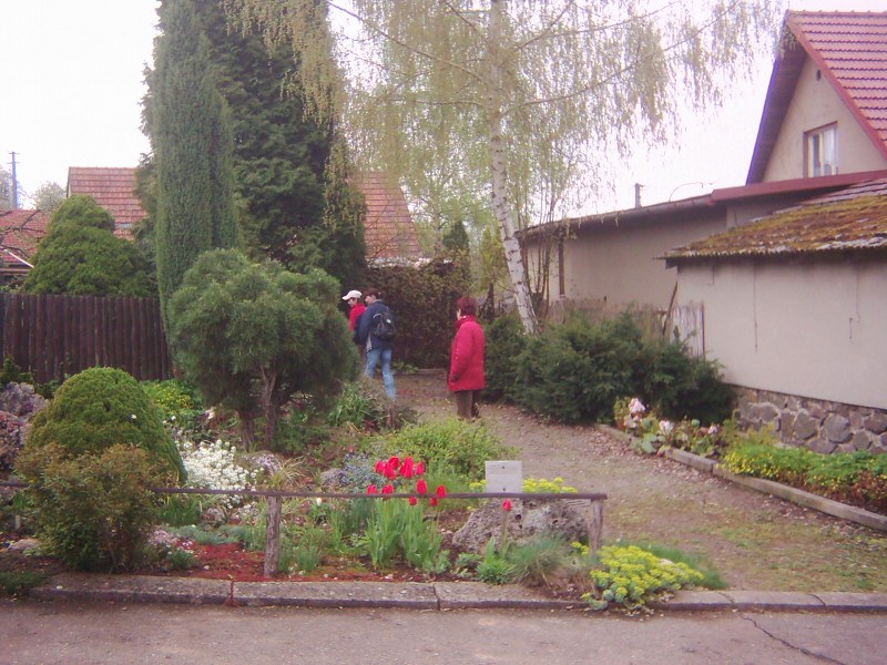 DSCI0010.JPG