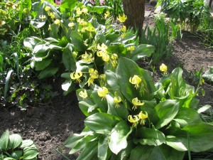 img_1260.jpg