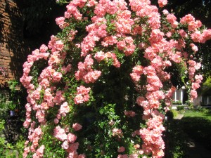 img_2092.jpg