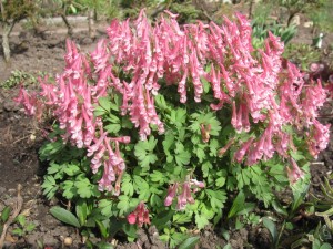 img_3942.jpg