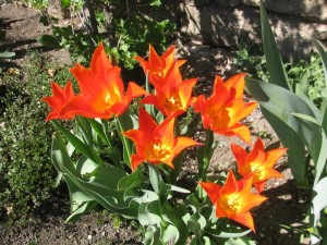 img_4072.jpg